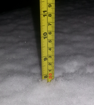 snowfall amount Ladner BC Canada