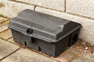 rat trap to control rat problem